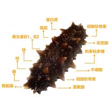 至尊南极刺参海参500g 约45头 （图片仅为参考，以实物为准）